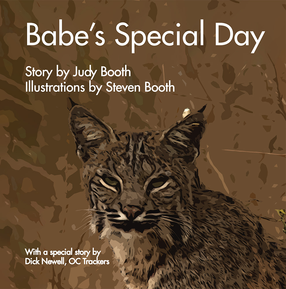 Babe's Special Day Cover